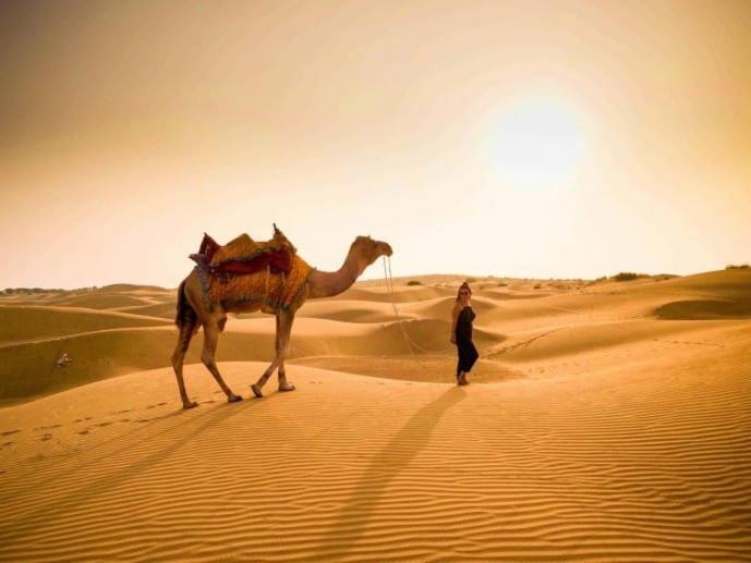Golden Sandstone Hotel Desert Safari Camp Jaisalmer Dış mekan fotoğraf